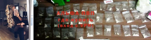 spice Абинск