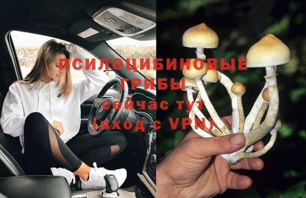 СК Абаза