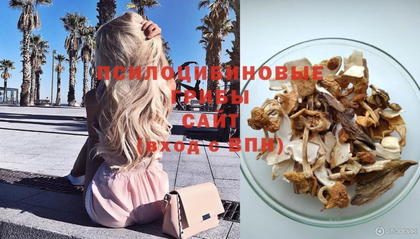 СК Абаза