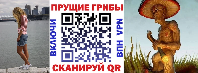 Псилоцибиновые грибы Psilocybine cubensis  Ахтырский 
